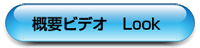 概要ビデオ　ビデオを見る